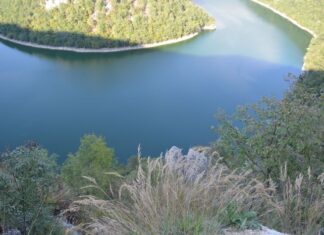 The Ballroom and Its Use