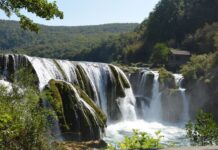 The Night of the Conspiracy