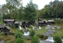 The Expansion of the Name “Bucoleon”