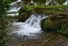 The Authority of the Patriarch’s Later Testimony